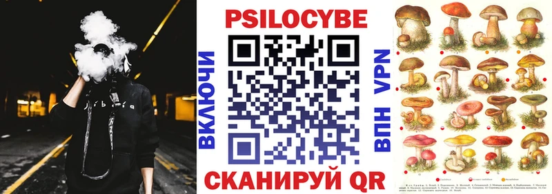 цена наркотик  Муром  Псилоцибиновые грибы Psilocybe 